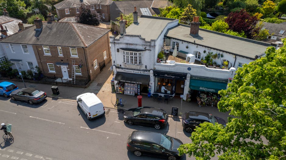 An aerial view of a small commercial street featuring two neighboring flower shops, one with a curved white facade and the other with a green awning, alongside parked cars and a busy road. The flower